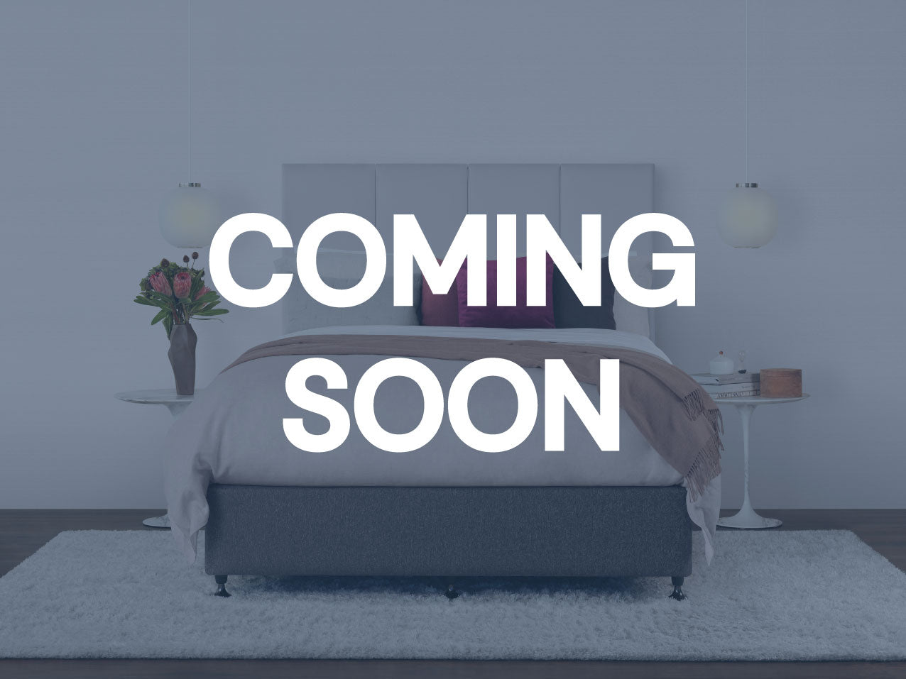 Sealy Heaphy Extra Firm